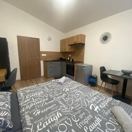 Cerna Ruze - Apartman 7 Plzeň Eksteriør billede