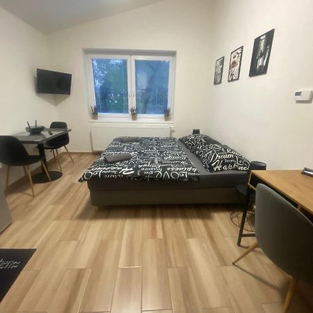 Cerna Ruze - Apartman 7 Plzeň Eksteriør billede