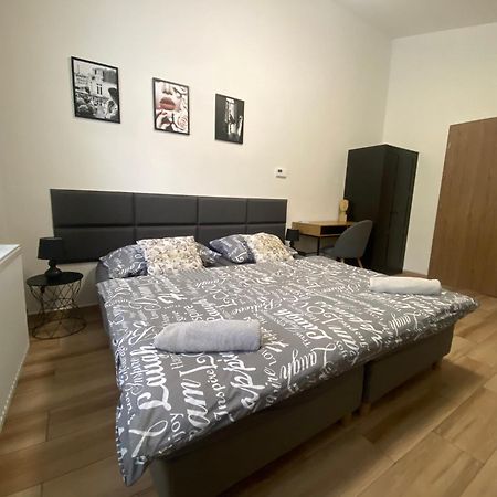 Cerna Ruze - Apartman 7 Plzeň Eksteriør billede