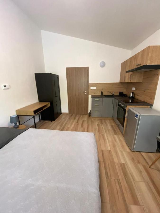 Cerna Ruze - Apartman 7 Plzeň Eksteriør billede