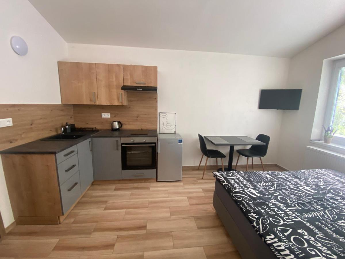 Cerna Ruze - Apartman 7 Plzeň Eksteriør billede