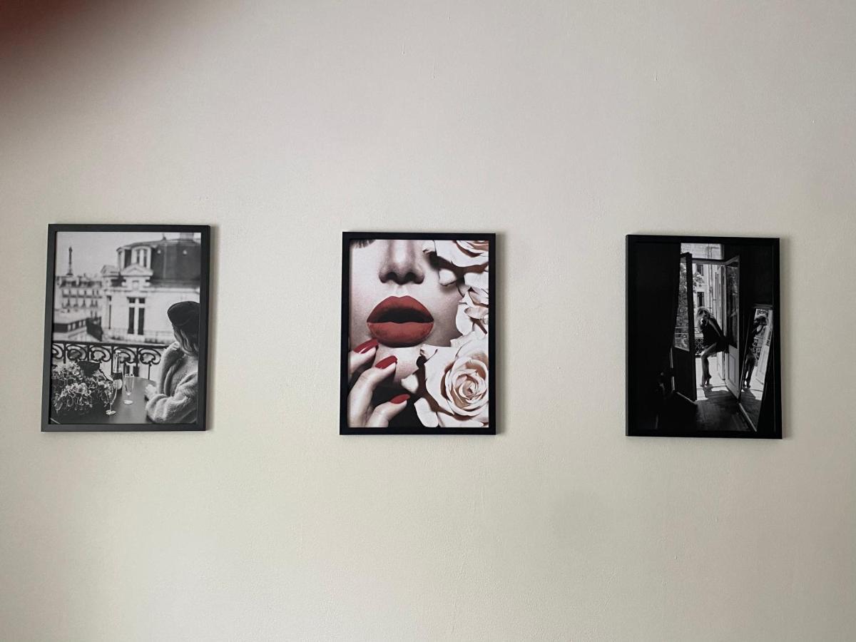 Cerna Ruze - Apartman 7 Plzeň Eksteriør billede