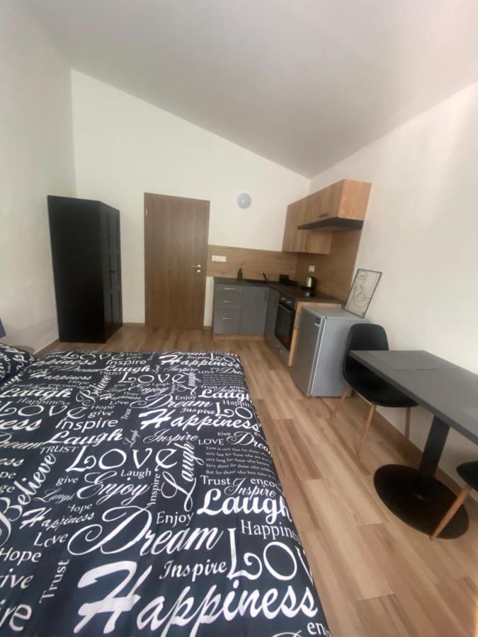 Cerna Ruze - Apartman 7 Plzeň Eksteriør billede