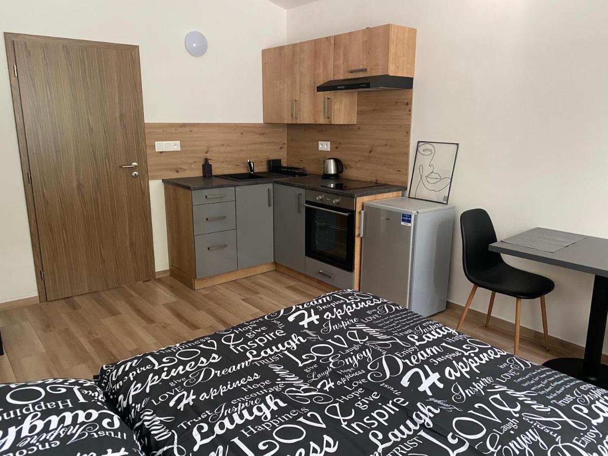 Cerna Ruze - Apartman 7 Plzeň Eksteriør billede