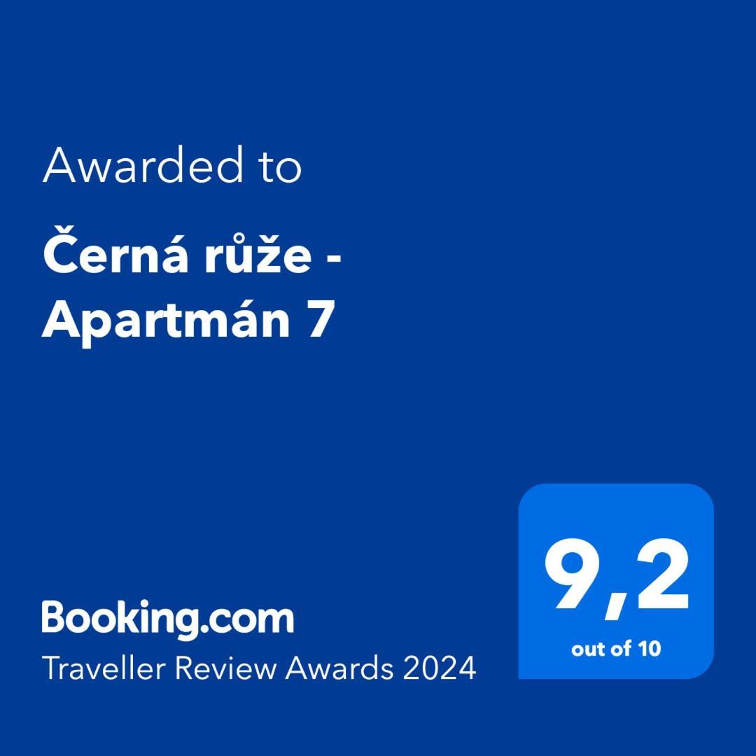 Cerna Ruze - Apartman 7 Plzeň Eksteriør billede